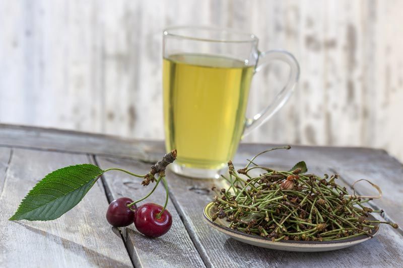 infusion cereza